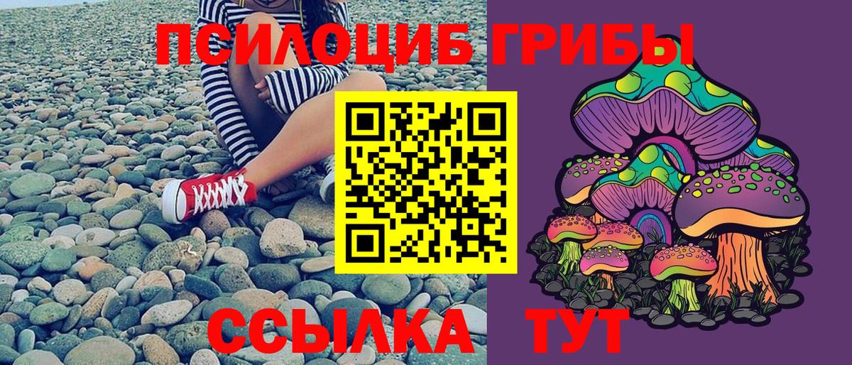 Галлюциногенные грибы Psilocybine cubensis Рославль