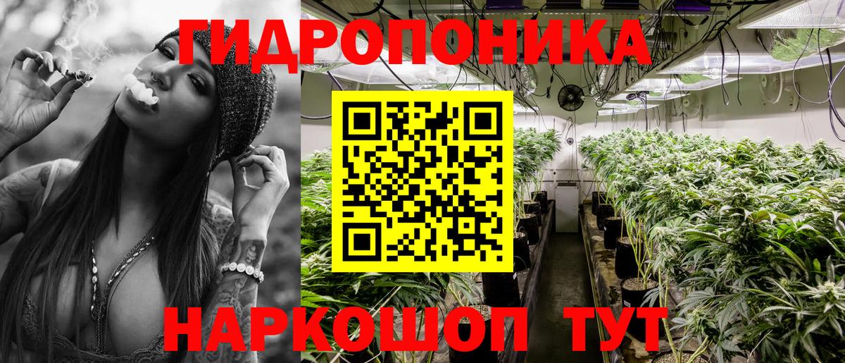 Шишки марихуана гибрид Рославль